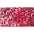 2014 Crop Dard Red Kidney Beans Prix du marché